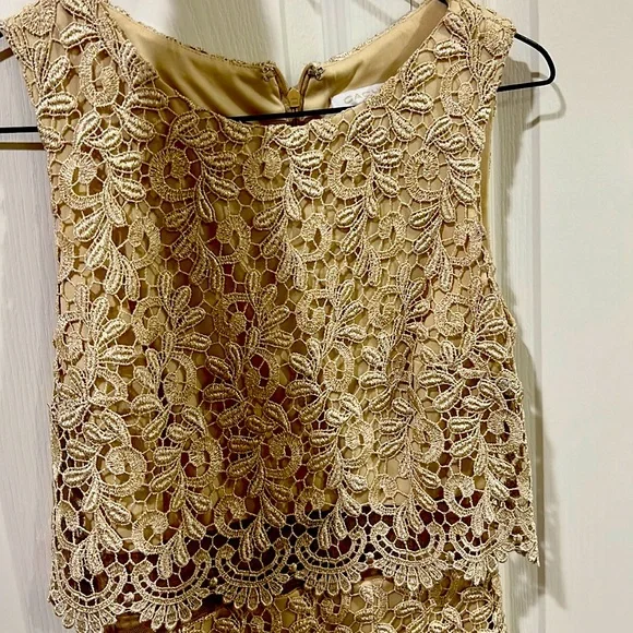 Caché dress, tan and gold color, good condition - Picture 5 of 7